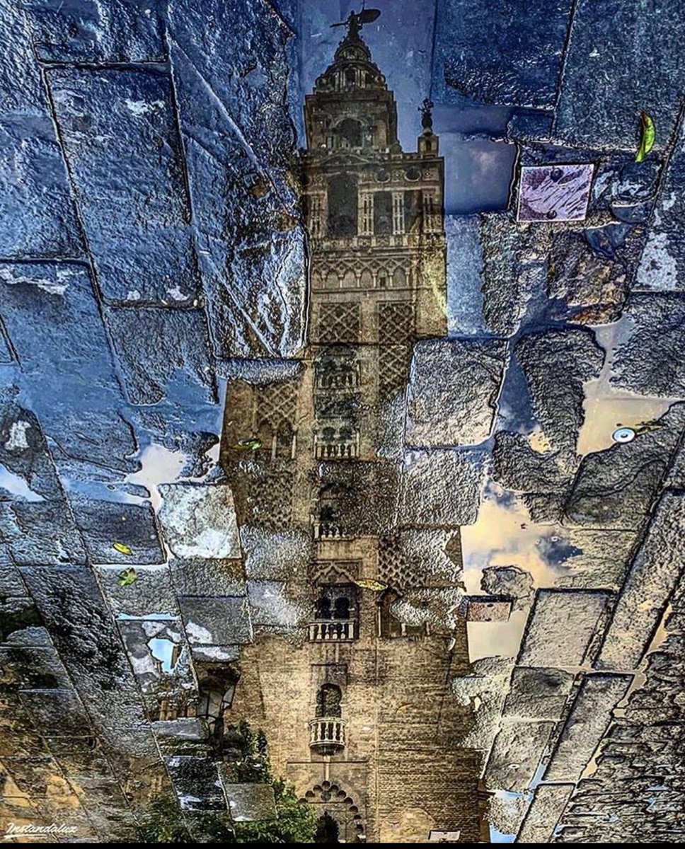 Los charcos en sevilla te cuentan historias ❤️
