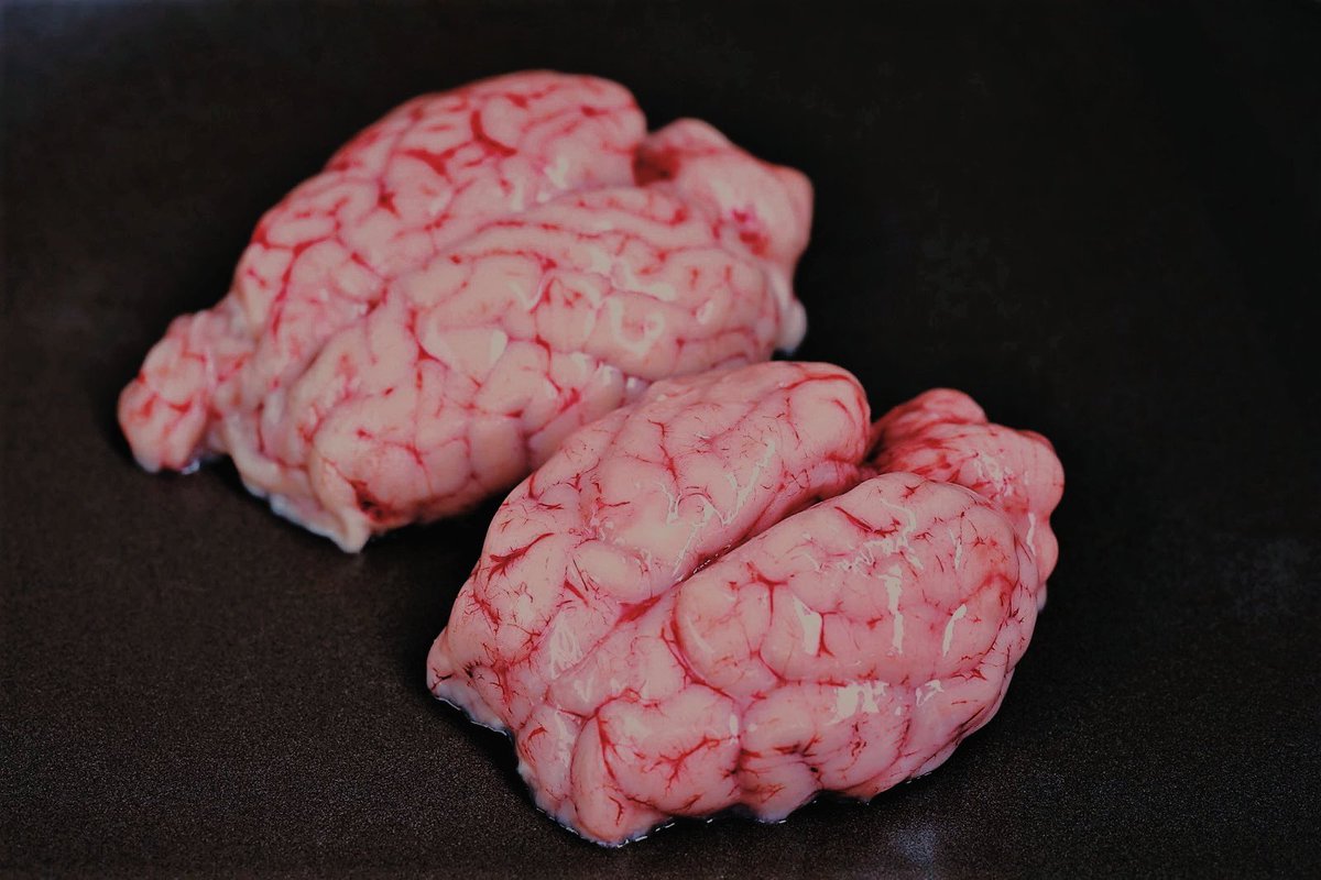 —va a los refrigeradores y busca un par de aperitivos—.