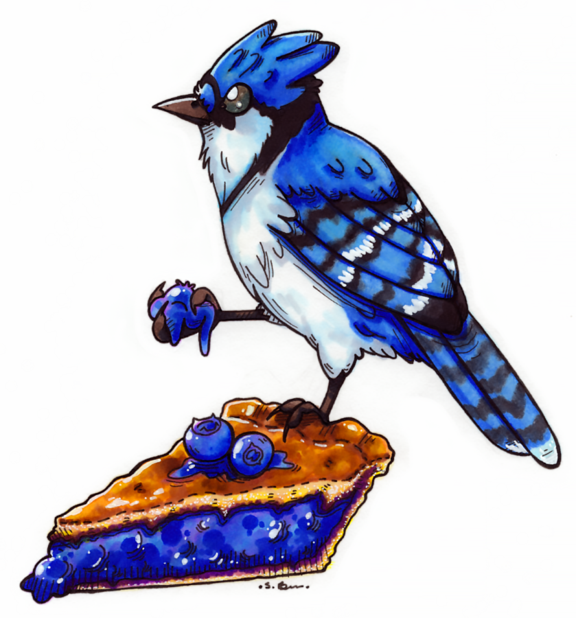 I have a craving for blueberry pie now. <3#birbs#birby#bluejaybird#birds#blueberrypie#blueberries#pie#traditionalart