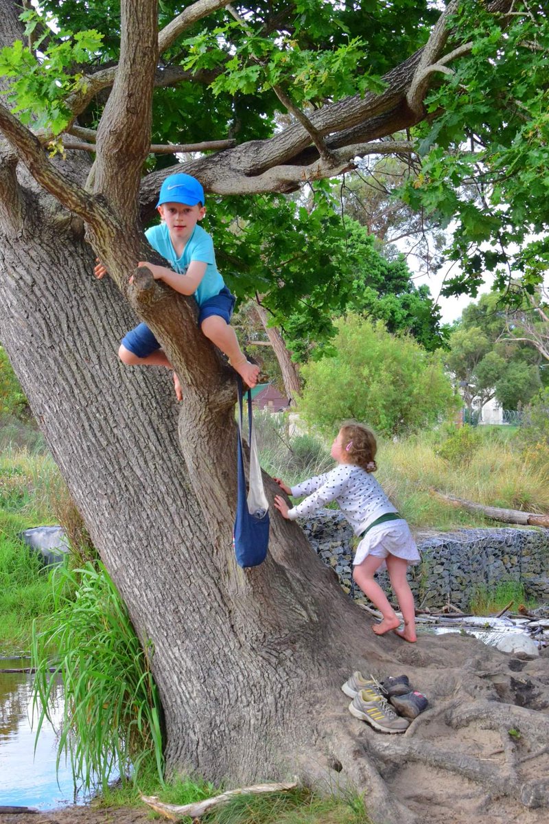 ParkscapeSA's tweet photo. Love this, exactly what so much of #TokaiForest and the #ParkscapeVision offers kids #citykids2nature #natureplayspace
@CTEnviroEd @NCCWildfires @ICLEIAfrica @alanwinde @mireillewenger @carocurtain https://t.co/axJNKZYszw