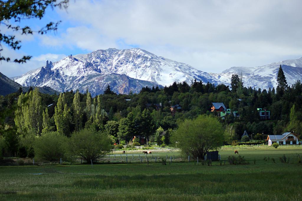 Norwegian Argentina tweet media