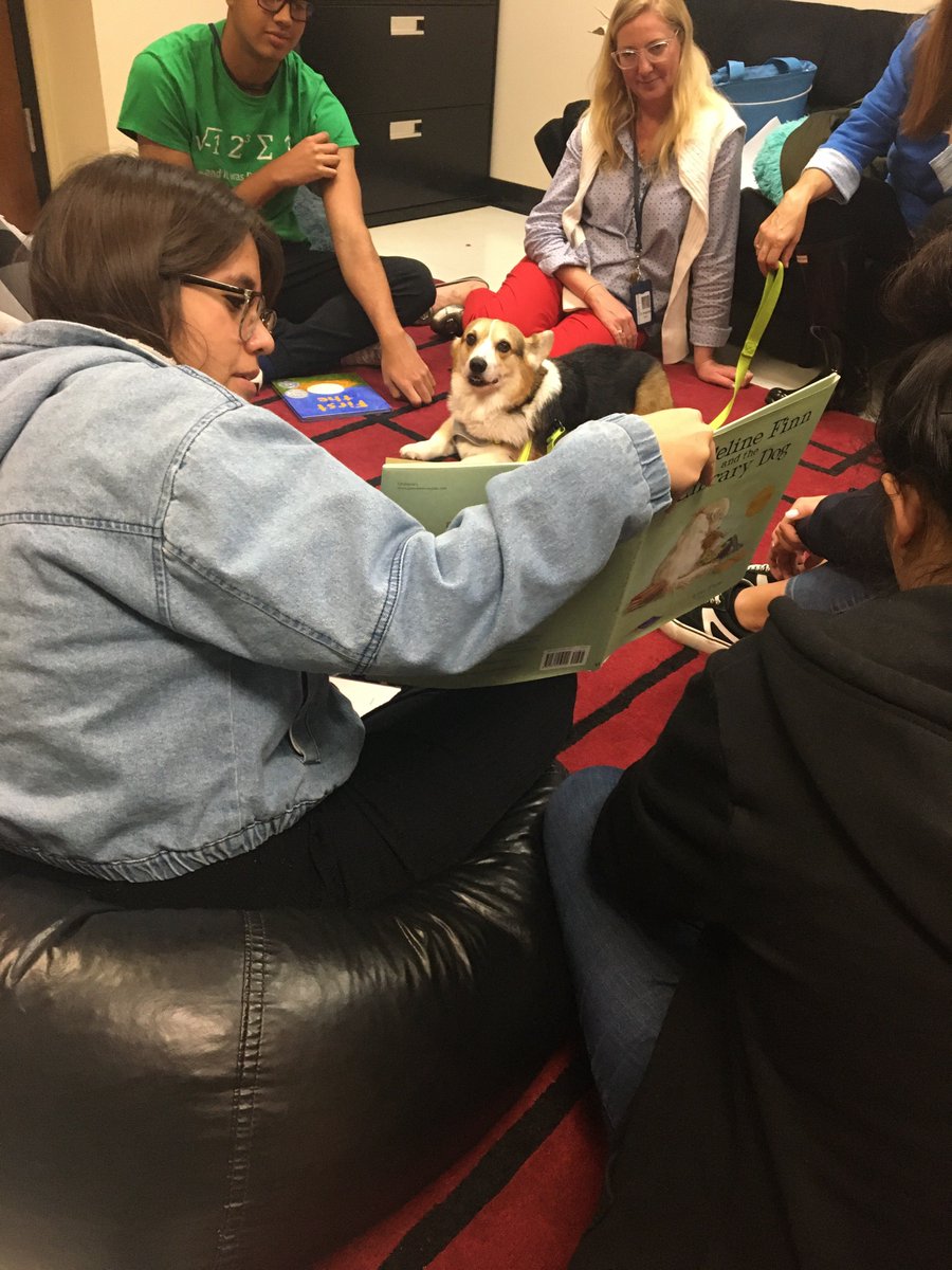 opus250799's tweet photo. And finally, @wandohigh's PAWS for Practice Program is off and running for the year. 4 days and 7 dogs a week, serving 8 classes continuously with the occasional classroom visit thrown in! We stay furry here🐶 @WandoHS_Media @VOCALCCSD @CCSDConnects #CCSDLibrarians https://t.co/9g3vitMjuM