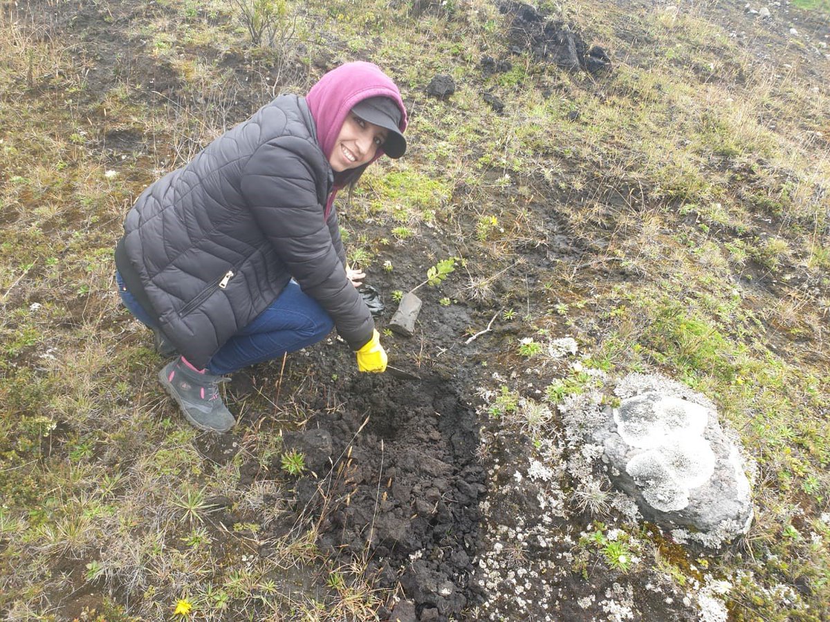 EnlaceNF's tweet photo. Agradecemos al @fonag por invitación a la Jornada de Reforestación. @EnlaceeNF apoyando estas importantes actividades. https://t.co/AzLCnXtH0i
