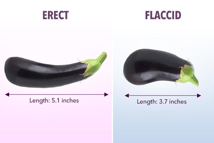 The NHS has confirmed the average UK penis size. 