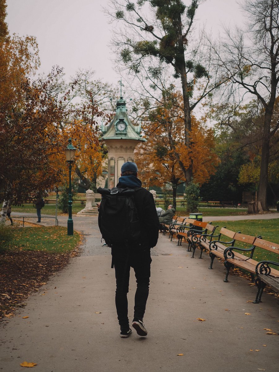 roadtowild's tweet photo. Vienna, 20.Noviembre.2019 https://t.co/rviDqLCu95