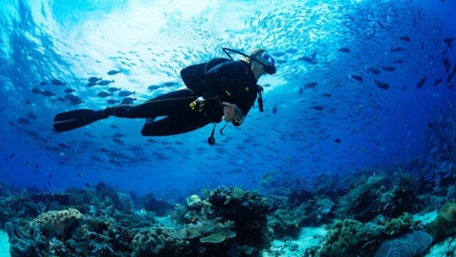 TawannaBSmith's tweet photo. If you're thinking about planning a fun-packed diving holiday, here are a few reasons why Malta should be at the top of your list. https://t.co/6p8vFOcvOY #AXperience #VisitMalta @AXhotelsMalta https://t.co/8kNtiQ2LOM