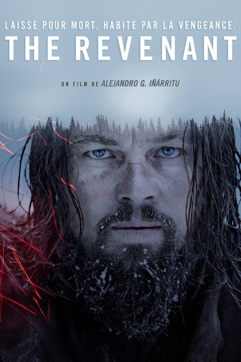 Bon ça fait 2 semaines mais pas grave.J'ai pu, après la recommandation de  @Papi_Asnoir, regarder  #TheRevenant sur Netflix et putain que c'est pile poil mon genre de film !Je crois que c'est la première fois que je me suis pas ennuyé devant un film de + de 2heures