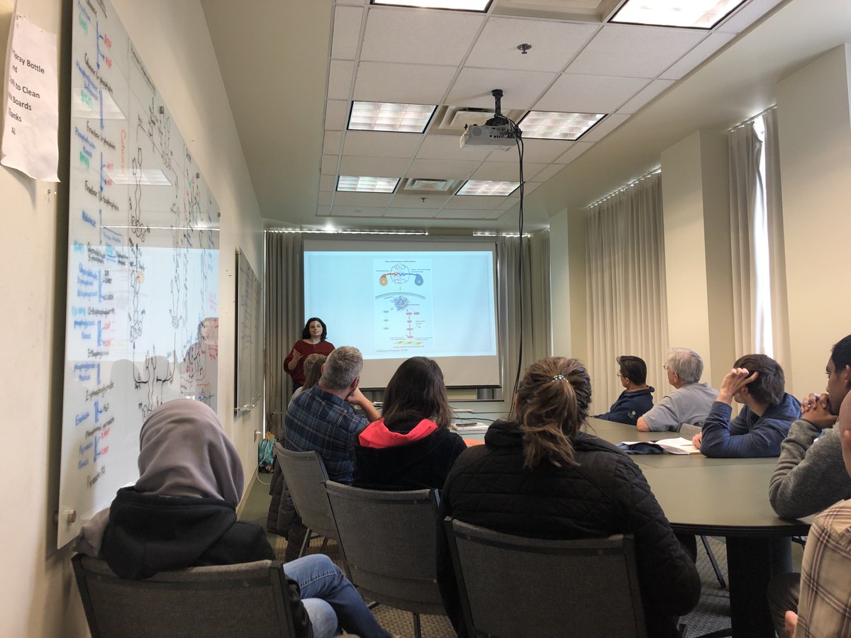 Our PhD student Sera Nakisli presenting recent findings on effects of KRAS somatic mutations on brain arteriovenous malformations. @sera_idil