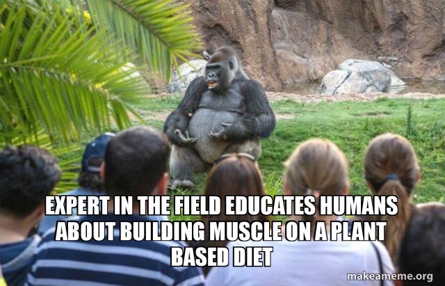 VeggieFi tweet media