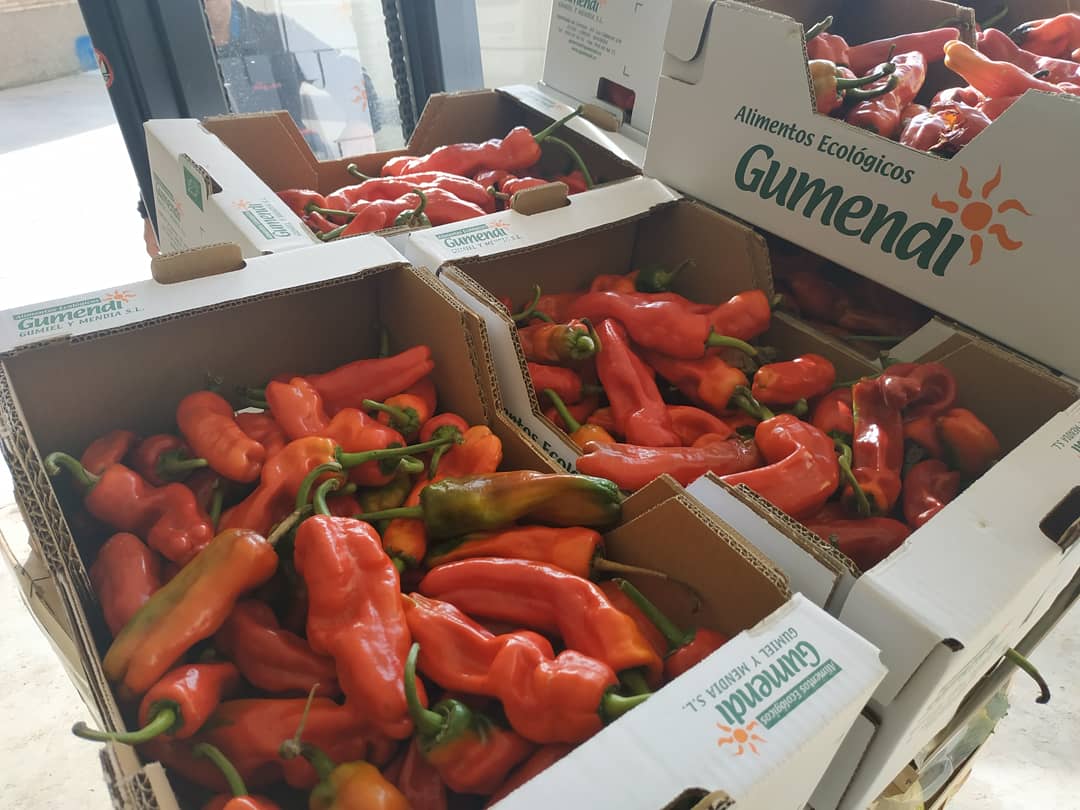 VillaJavierInfo's tweet photo. DONACIÓN DE GUMENDI 

Algunas empresas son esenciales para la sostenibilidad y el buen servicio de nuestros proyectos de alimentación.

Un ejemplo claro es @gumendi ecológicos

Nuestra furgo ha llegado llena de pimientos, kale, espinacas y coles.

¡MUCHÍSIMAS GRACIAS AMIG@S! https://t.co/swV0OdnDyk