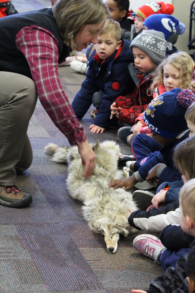 FPS_District14's tweet photo. Thanks #SpringbrookNatureCenter who brought lessons to life when they visited Fridley Preschool last week! The 4-year-olds even met two Western fox snakes! The lessons revolved around the @ibpyp theme #SharingthePlanet.
#communitypartnerships #realworldconnections @FridleyCommEd https://t.co/NwlufVXH7d