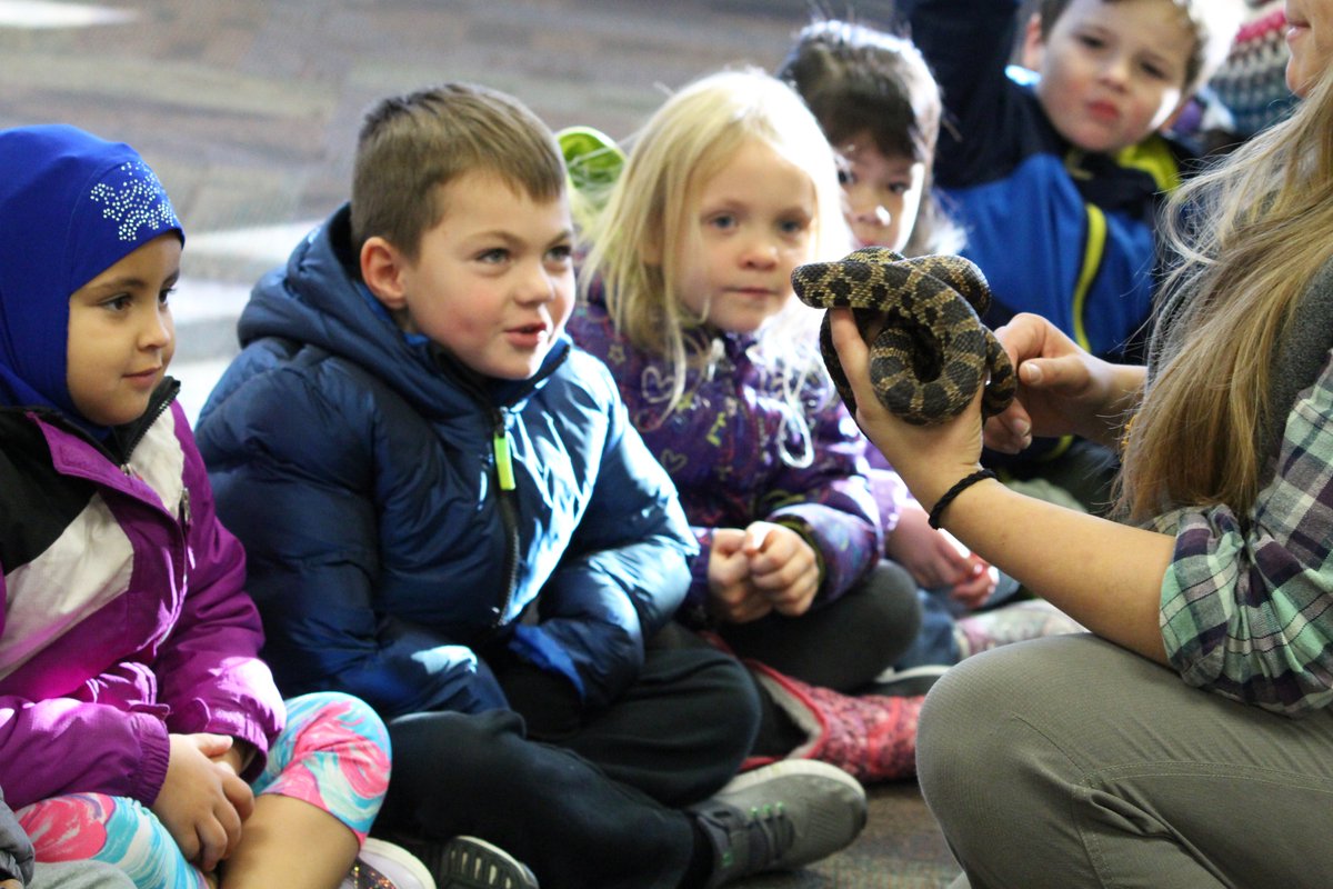 FPS_District14's tweet photo. Thanks #SpringbrookNatureCenter who brought lessons to life when they visited Fridley Preschool last week! The 4-year-olds even met two Western fox snakes! The lessons revolved around the @ibpyp theme #SharingthePlanet.
#communitypartnerships #realworldconnections @FridleyCommEd https://t.co/NwlufVXH7d