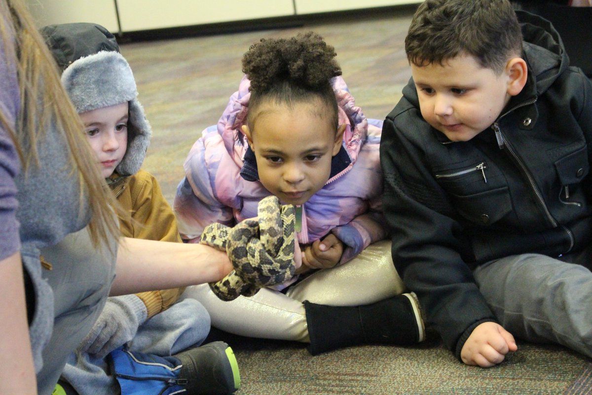 FPS_District14's tweet photo. Thanks #SpringbrookNatureCenter who brought lessons to life when they visited Fridley Preschool last week! The 4-year-olds even met two Western fox snakes! The lessons revolved around the @ibpyp theme #SharingthePlanet.
#communitypartnerships #realworldconnections @FridleyCommEd https://t.co/NwlufVXH7d