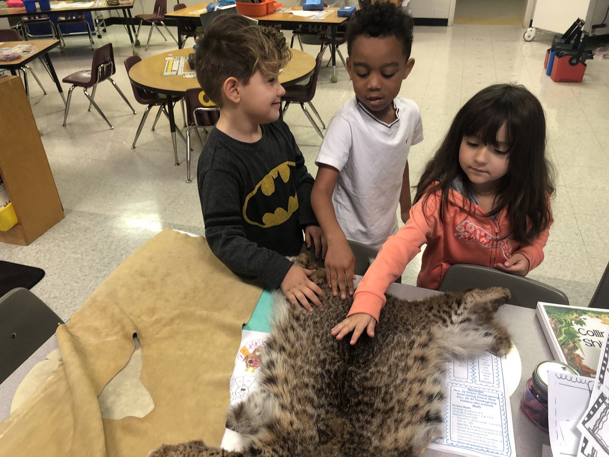 hstovall12's tweet photo. Bringing the outside in as we tie in a little science to our ELA. #tarao https://t.co/EsO8HWYGrN