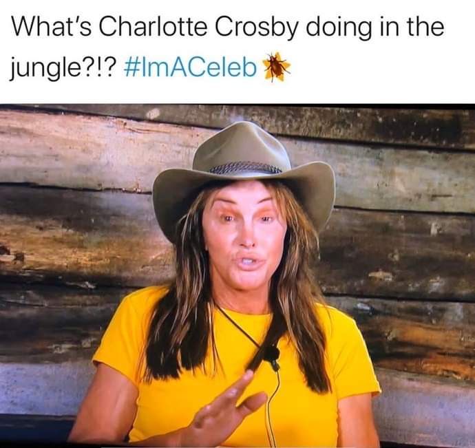 #imacelebrity this is too much 🤣