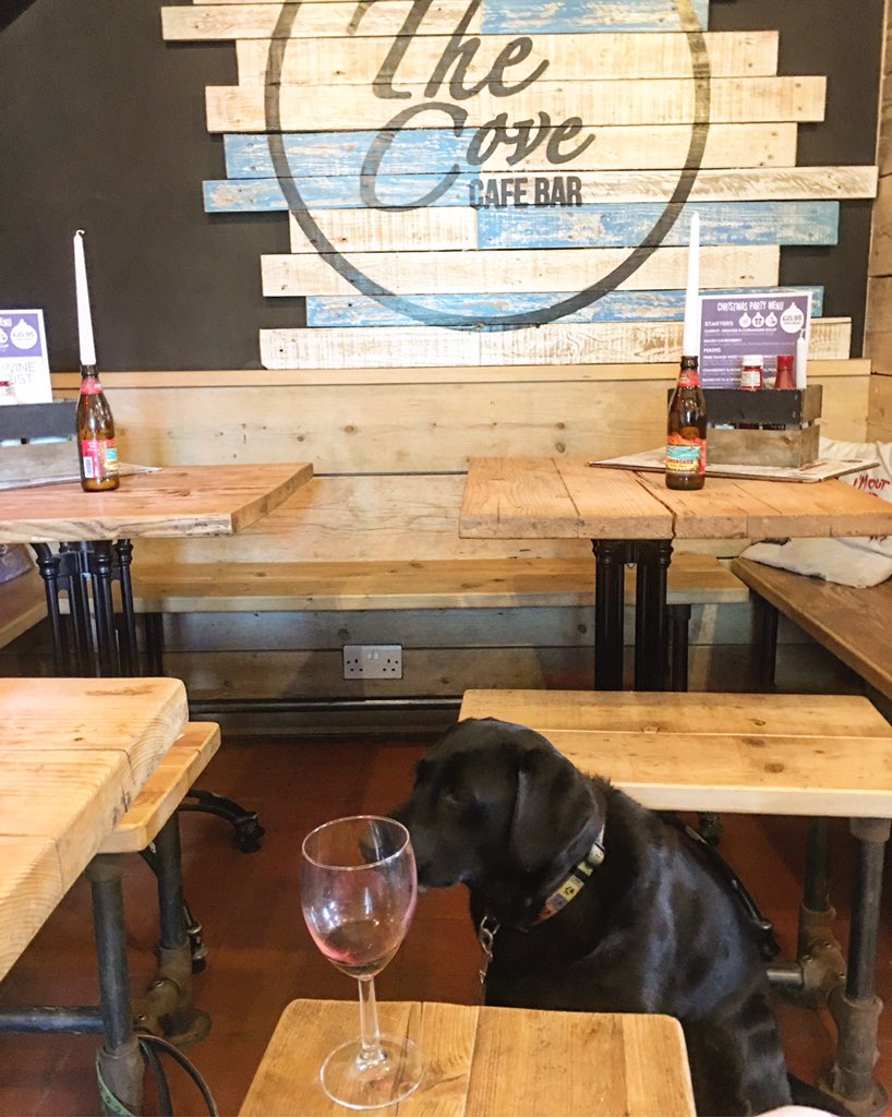 KirstenToft1's tweet photo. This place is pawsome ๐ถ. Molly embracing Devon life. Great..#bestveganburger #posttrailrun #redwine #dietoftrueathlete๐๐@thecovedevon @HopeCoveDevo https://t.co/qtNmodTa9B