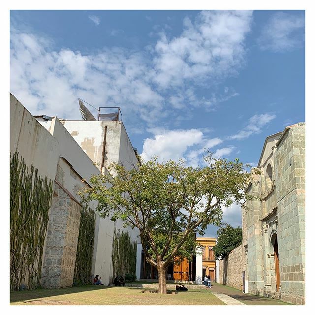 Centro Cultural San Pablo, Oaxaca.
#arquitectura #cultura #mexico #haciendocultura ift.tt/2s3srF4
