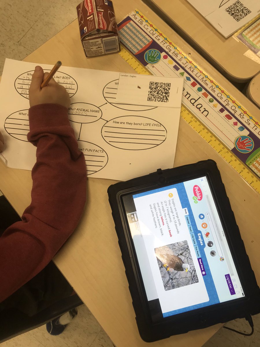 mrsjpraill's tweet photo. If you didn’t guess already...I am pretty in love with QR codes. Ss chose an animal to research on Pebble Go. I created each of them a code to link to their animals page. Saves oodles of time and took me less than 15 minutes to do! #primarytech #tvdsb #pebblego #researching https://t.co/trOyOlOACU