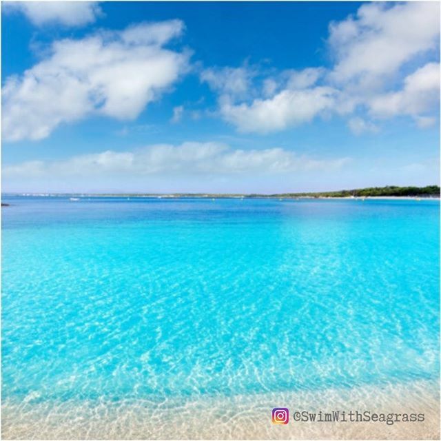 If you want to know why Seagrass Coaching + Escapes operates out of Colonia Sant Jordi in Mallorca, this image will answer your question. It's Es Trenc, one of the many stunning protected beaches with pristine white sands and crystal clear waters surrounding Colonia Sant Jor…