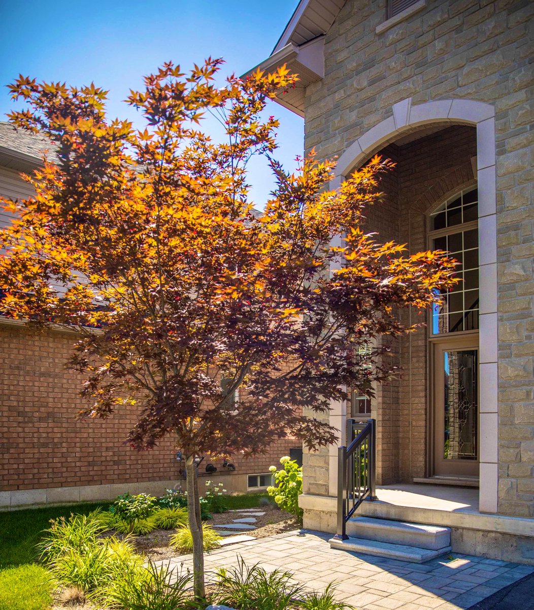 ConstructionZen's tweet image. 🌞We’re loving the warm #fallweather we’re having today! 🍂

yourzenspace.ca

#Landscaper #landscape #Landscaping #landscapedesign #patio #patiostone #OutdoorLiving #HamOnt #houseandhome #inspo #homeinspo #Insporation #Lighting #construction #Fall