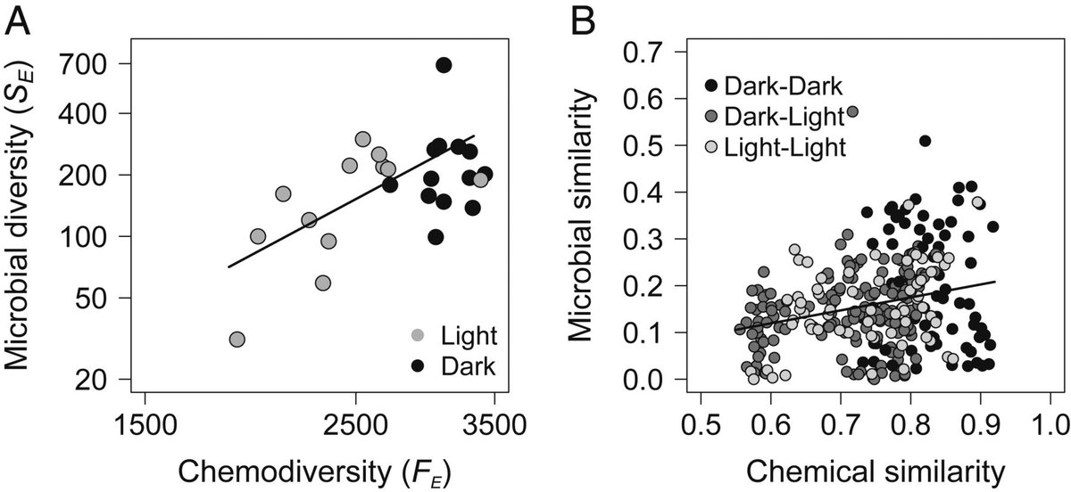 Increased microbial decomposition in lake sediment due to increases in biological and chemical diversity could increase greenhouse gas emissions by a factor of 1.5 to 2.7. #climatechange research in PNAS: ow.ly/BFZy50xf9aK