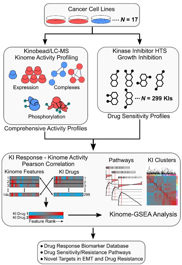 Shao-En Ong tweet media
