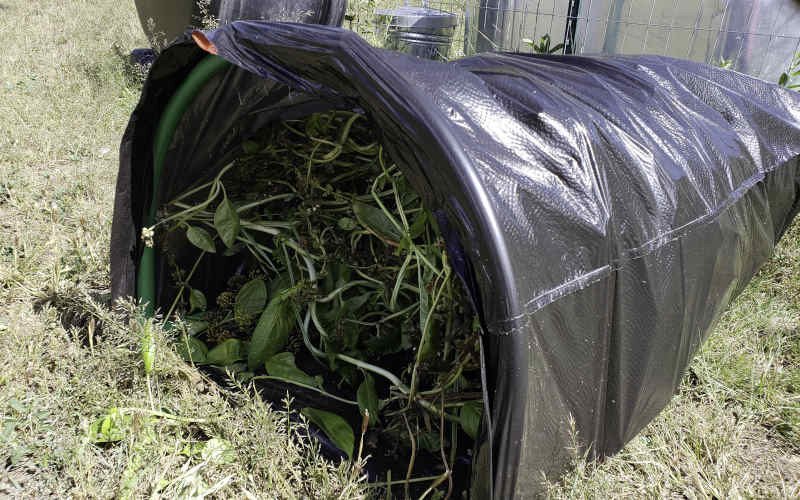 GardenJunkie1's tweet image. Although developed for gathering leaves, the Leaf Gulp works for cleaning out garden beds as well - it keeps the bag open for you. bit.ly/2QFsONu #leafgulp #gardencleanup #gardenmaintenance #GPReview #productreview #leaves #gardeningproducts