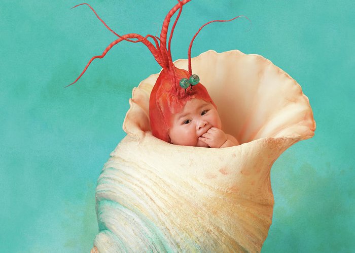 Why don't baby shrimp like to share their food? They're just a little shellfish. #Fish20 #fishpuns