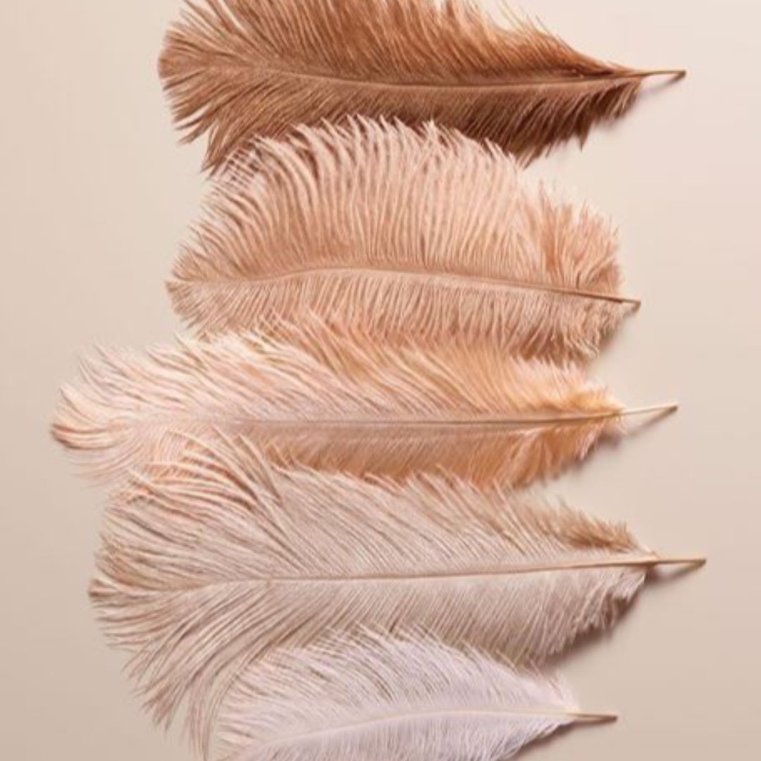 Fall color palette #inspo