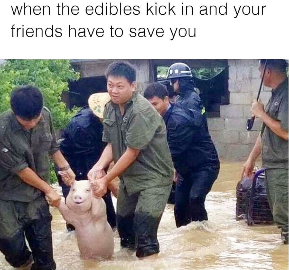 mention that friend ⬇️🤣