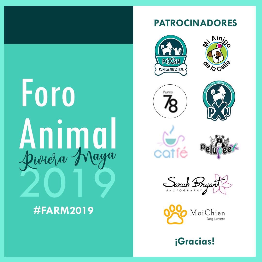 MoiChien2's tweet photo. Te invitamos a participar al #ForoAnimal2019 con Charlas y Mini-Talleres #PlayadelCarmen #Cancun #FARM2019 #MoiChien @novedadesqroo @PlayaDelCarmen @PlayaCarla @PdelCarmenTV @Playahit @VivoEnPlayaDC @YoAmoPlaya https://t.co/iTP8dZGoAe
