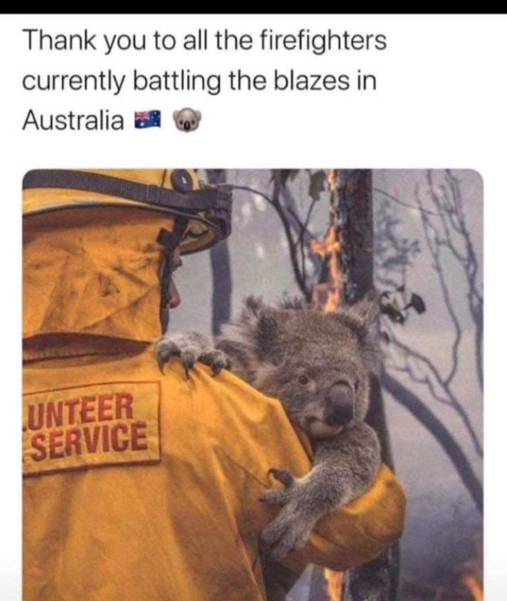 Breeroder98's tweet image. Greatful for all the cfs keeping everyone safe 💞