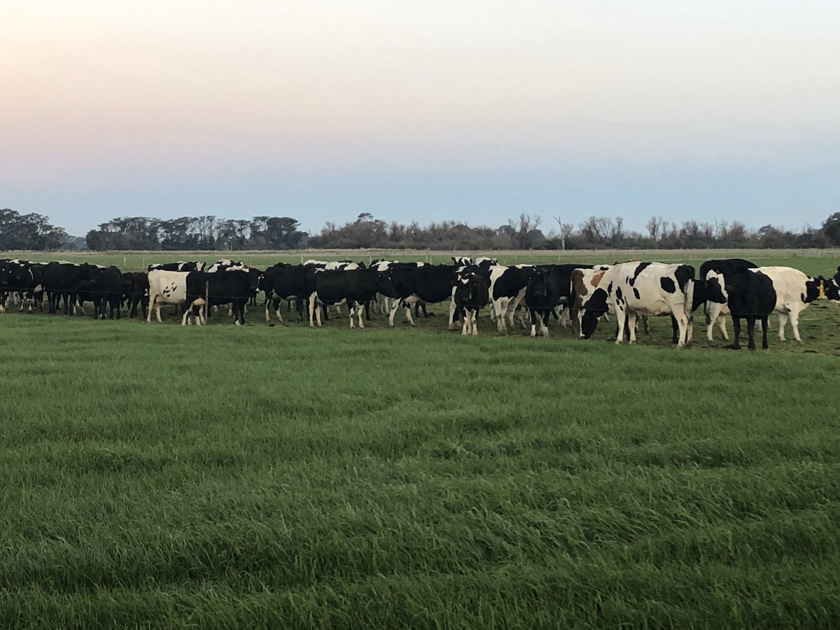 Happy #AgDayAU everyone! A wide range of outcomes for Australian farming this year. Hoping for better seasons and more water for those that have been missing out. There is a lot to be proud of and a lot to look fwd to.