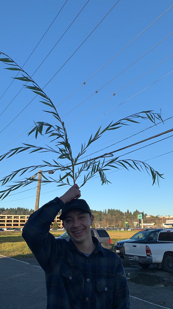 ging3rteacher's tweet photo. Did you know that #FifeFFA has a pineapple member? https://t.co/rYfYFjBA0F