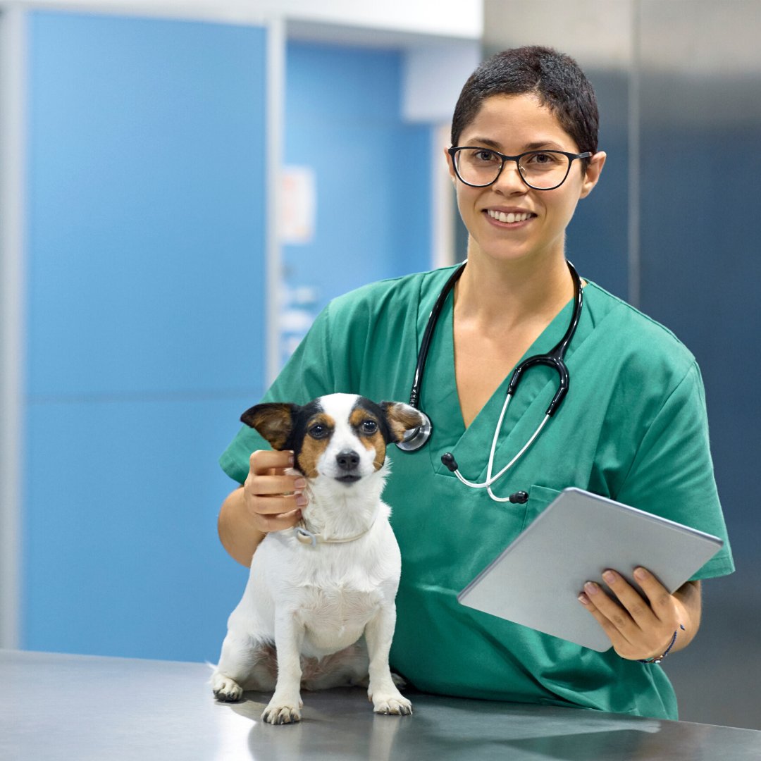 BabelVet's tweet photo. Make a deeper connection at every visit. Use the information and data to show you’re in touch even when they’re not there. Veterinary teams: schedule your FREE walkthrough now, and learn how you can connect with pet owners and pet businesses in your area! https://t.co/nJfv6eCkI8 https://t.co/i3kGig3Cam