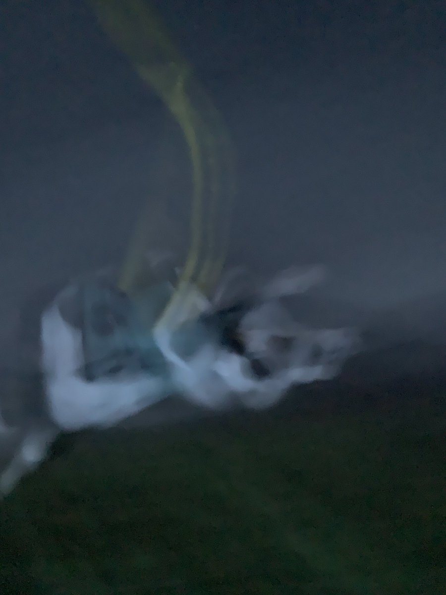 saxelbyhorses's tweet photo. Is it a bird? Is it a plane?
....nope...it’s probably the worse photo taken using an iPhone XS of anything, ever!
(For the record, it is my dog, Frank, out for a run)
If you have a worse phone pic, post it below!
#shitpics https://t.co/tF74OIJwXf