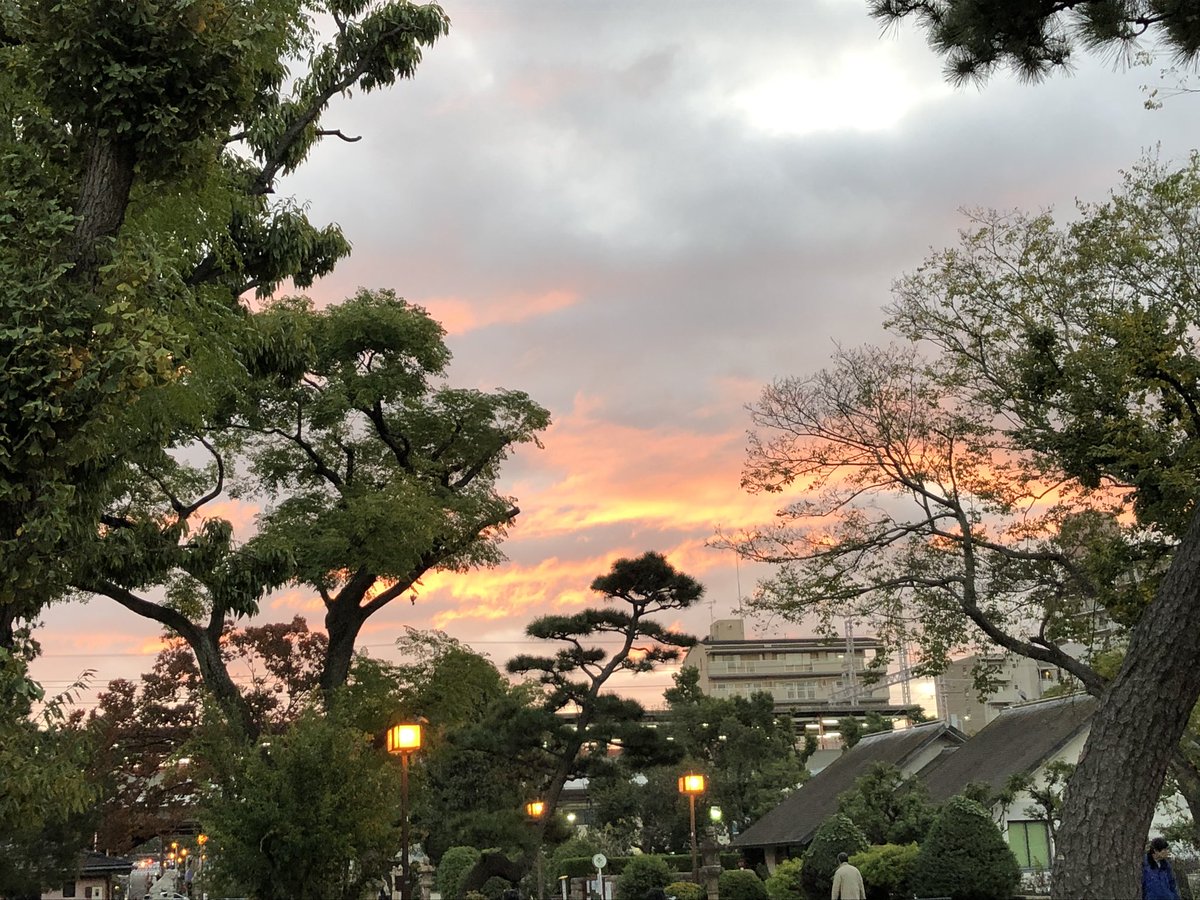 s3x8M3qRC41Xe5y's tweet photo. おはようございます😃（＾∇＾） https://t.co/w0tG4WcLN8
