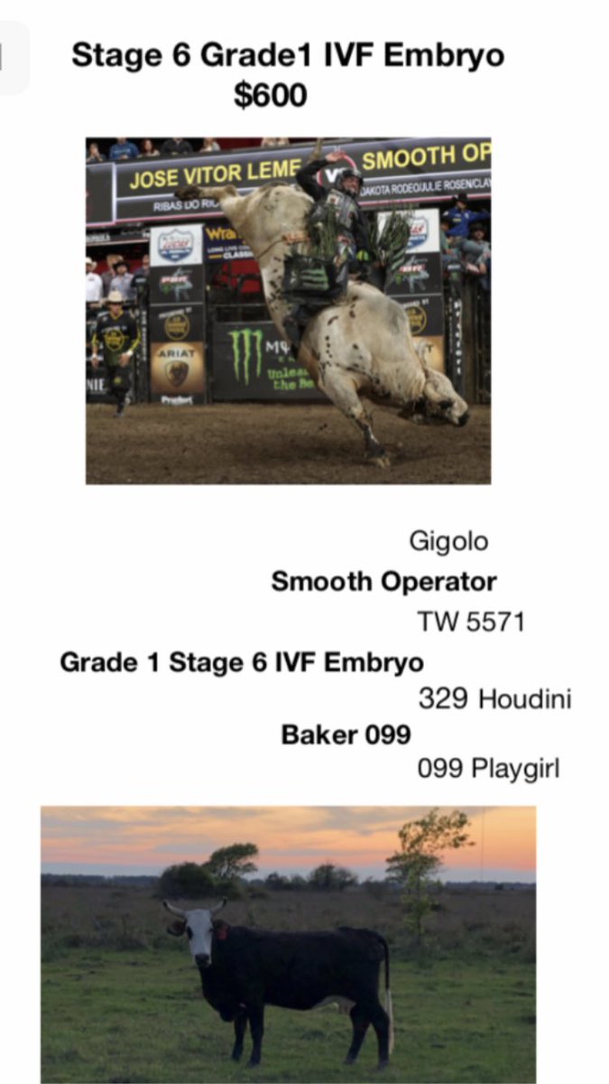 BuildABucker (@buildabucker) on Twitter photo 