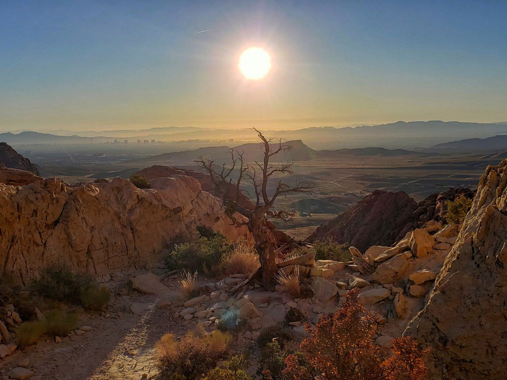 ThAdventureHigh tweet picture