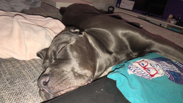 StepankovaJ's tweet photo. Good night everybody ❤️ https://t.co/OQSZ5XW5Ra