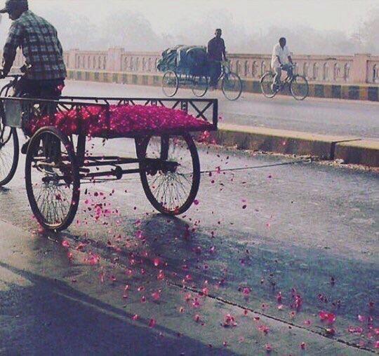 إذا منحك الله السعادة، فانثر شيئًا من عبيرها على من حولك .. "فلكل نعمةٍ زكاة"