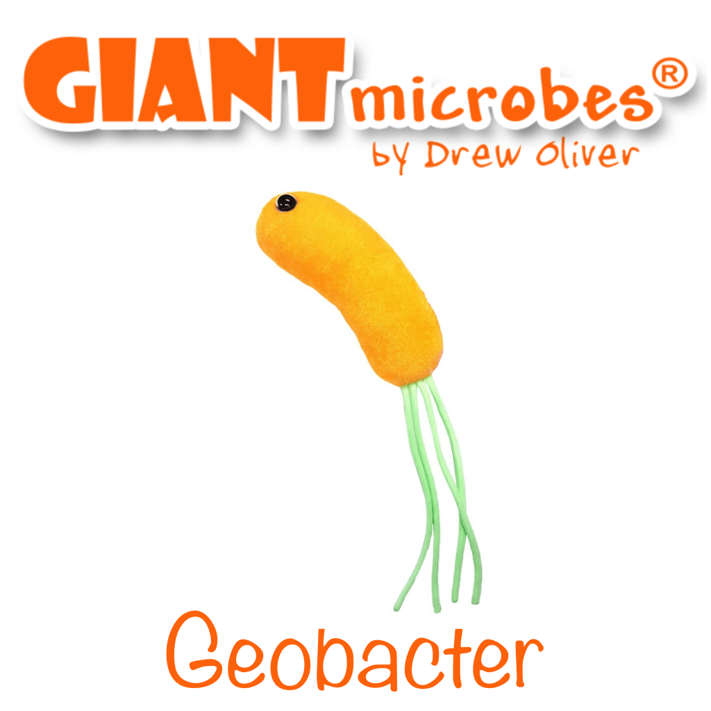 Jazzy_Robot's tweet photo. Giant Microbes Original Geobacter https://t.co/cKUFhIICoX https://t.co/ZWmgSgLAEg