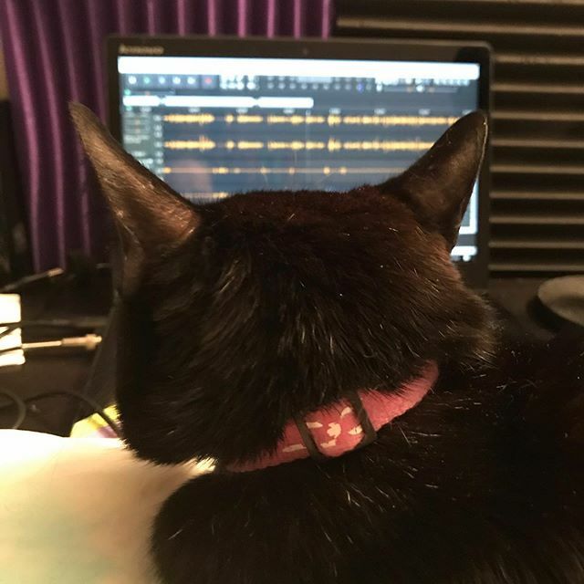 merganfm's tweet image. my diligent editing assistant

#notesworthy #notesworthycast #podcast #podcastediting #newpodcast #funnypodcast #cat ift.tt/2KEUxwQ