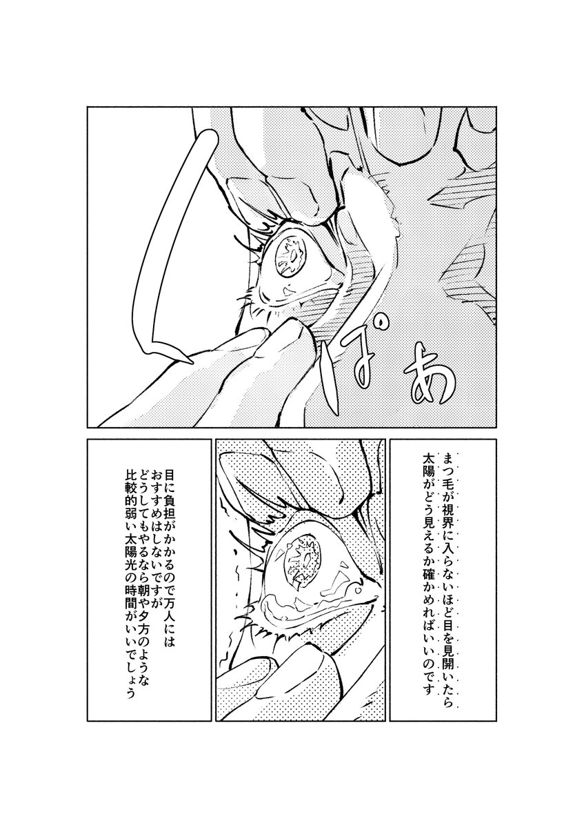 太陽を見つめていたら面白い発見をしたという漫画その2 