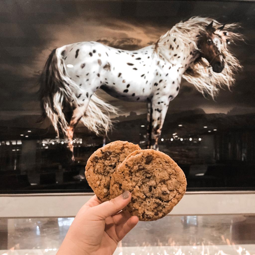 The DoubleTree #WarmWelcome is perfect as the temperatures start to drop tonight. 🍪