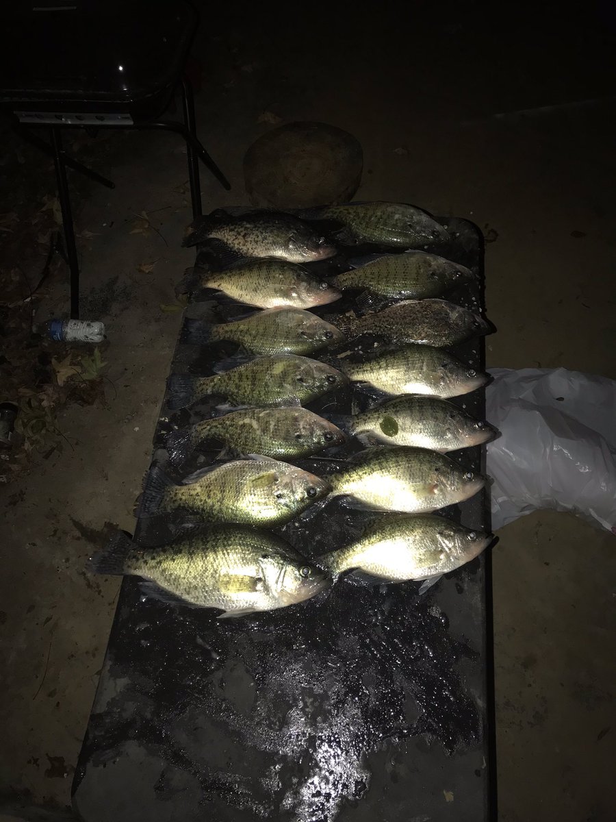 I_AM_K3N's tweet photo. Good haul for an hour and a half worth of fishing #crappiefishing https://t.co/LUxJeZPBVU