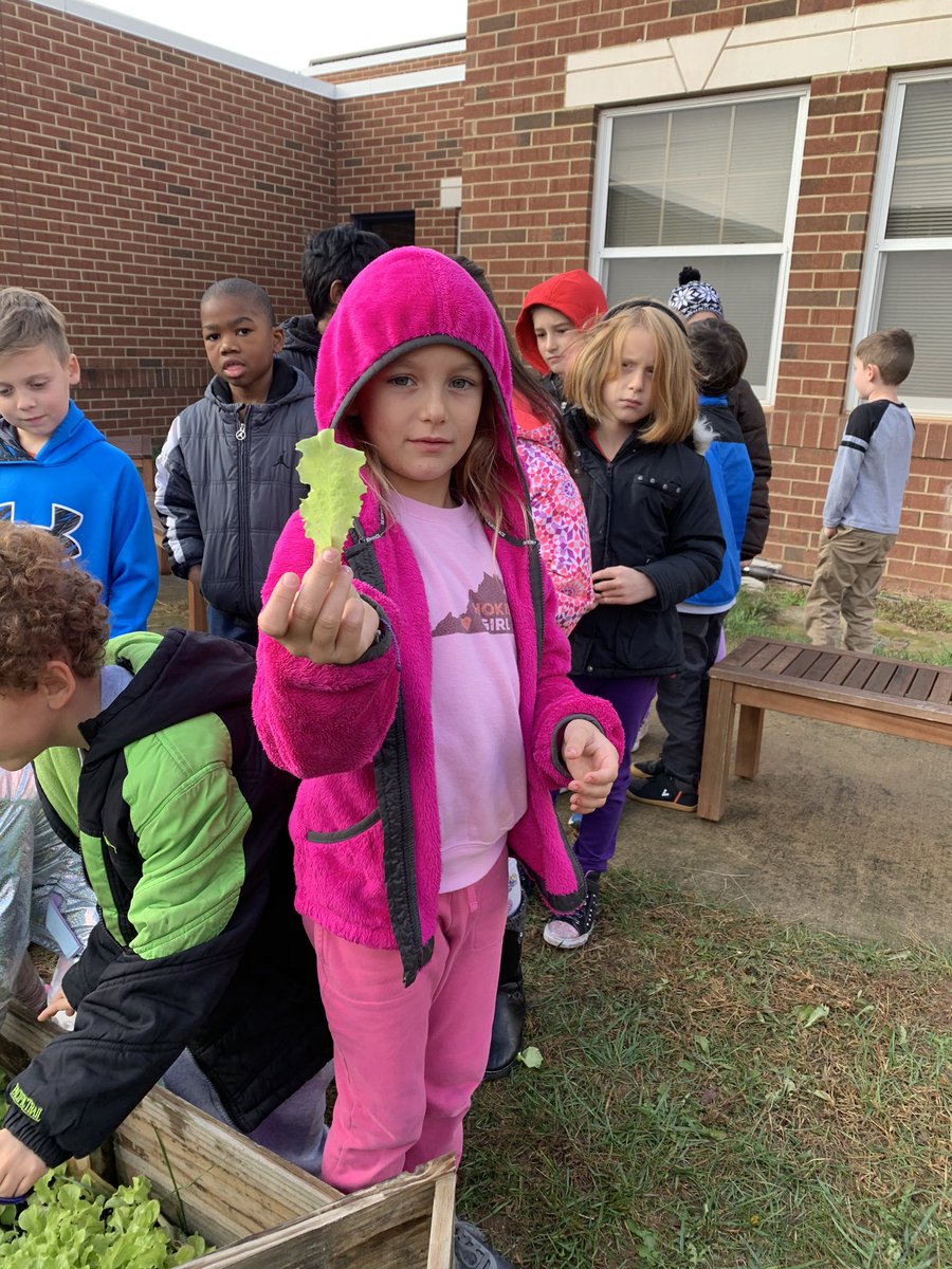 MrsBryantVA's tweet photo. Yesterday students had the chance to finally harvest our lettuce! Then students sampled the lettuce they grew with a variety of salad toppings. Thank you to the parents that helped and came to our party! #saladscience #wellerwildcats @wellerwildcats #lcps20 https://t.co/I76tAdmOjU