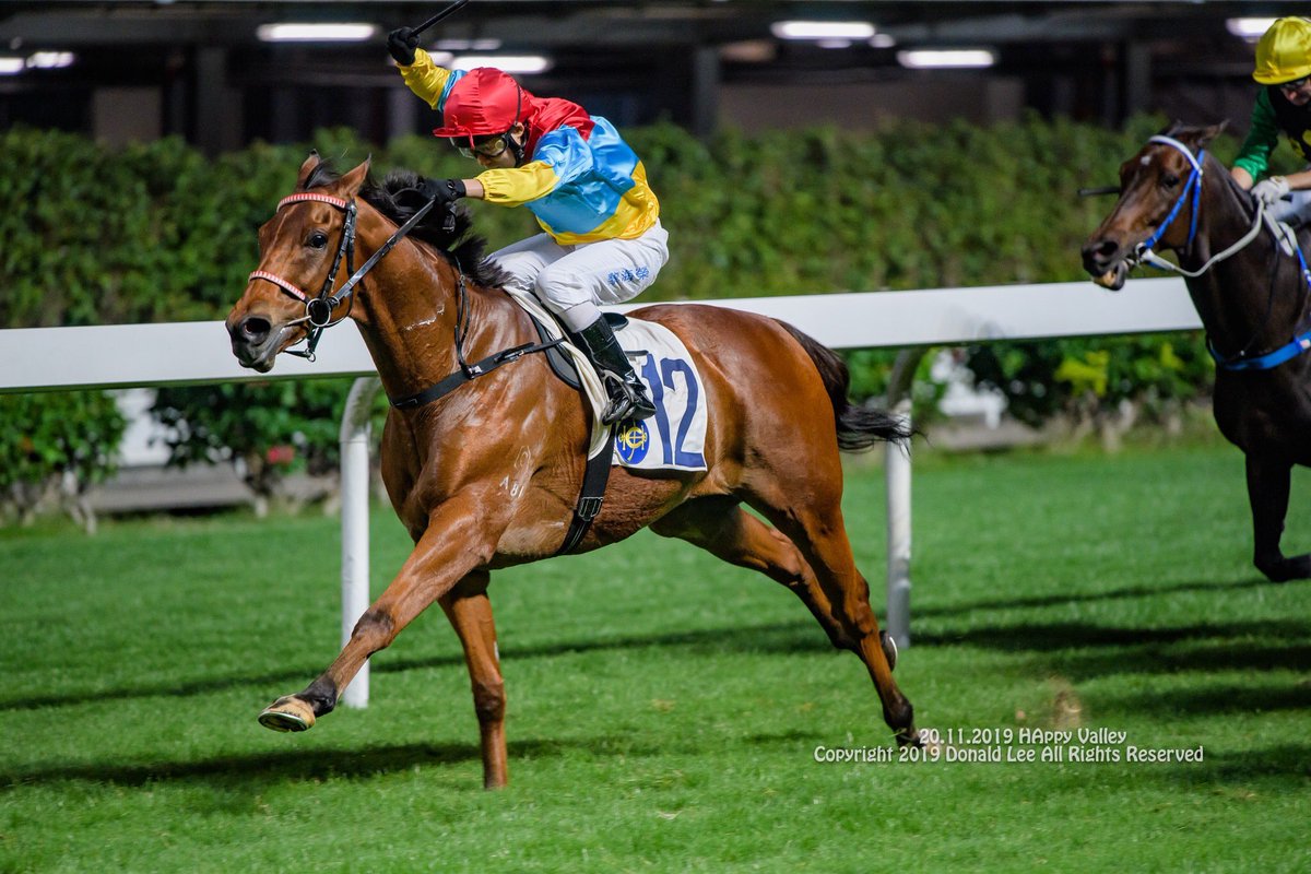 LeeMingDonald's tweet photo. 20.11.2019 Happy Valley R4 Indigenous Star #AlexLai #HKracing https://t.co/5j5yKxO638