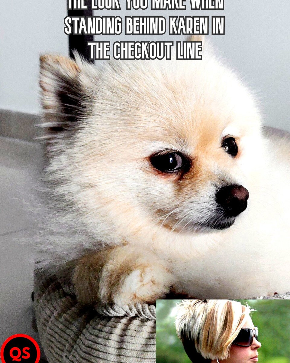 Questionable Status tweet media