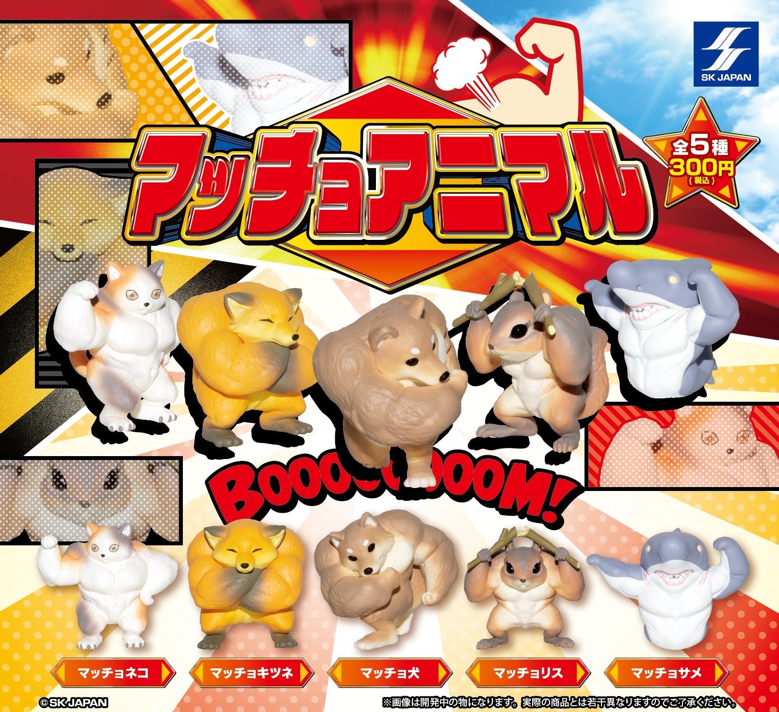 公式 Skカプセルトイチーム 11月発売商品のご紹介 マッチョアニマル えっ あの動物達がムキムキのマッチョになっちゃった 筋肉フェチにはたまらないリアルな出来栄えです ぜひゲットして下さいませ 来週いよいよ全国各地で順次発売開始